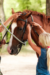 Obraz premium The instructor helps the girl to saddle a brown horse in the forest. Children's equestrian camp. Summer sports camp for children. A nice girl is learning to ride a horse.