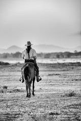 cowboy on the beach in black and white
