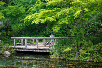 夏のモネの池を見ている小学生の子供