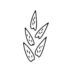 Simple hand drawn floral element isolated on white background. Doodle style. Plants vector illustration.