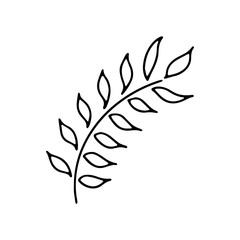 Simple hand drawn floral element isolated on white background. Doodle style. Plants vector illustration.