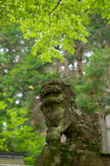 夏の山の中の神社の石像