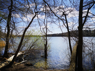 Impression of nature