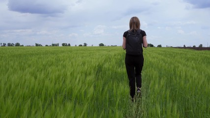 A tourist walks on a wheat field with a backpack on her shoulders.