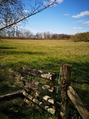 Impression of nature