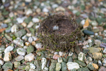 A bird's nest that has fallen out  of the tree and has a hole made of natural materials lies on small stones in a garden