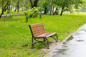 Fototapeta premium Beautiful Park with a single bench. Summer and nature.