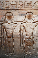 Ancient hieroglyph and relief on the wall of a Temple in Egypt