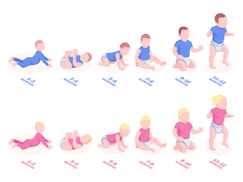 Baby Timeline Development For First Year. Infant Growth With Month Stages. Sitting, Lying, Walking Toddler Periods. Sign Vector Design For Perinatal Center. Set Child, Kid, Boy And Girl, Male, Female