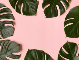 Tropical background with monstera leaves and space for your text design, monstera flower, mockup.