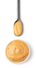 Fototapeta premium Bowl and spoon with Cocktail sauce