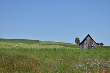 Naturlandschaft beim Sihlsee in der Schweiz am 18.5.2020