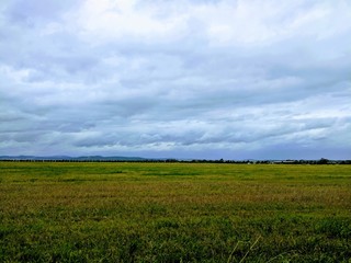 green field and sky