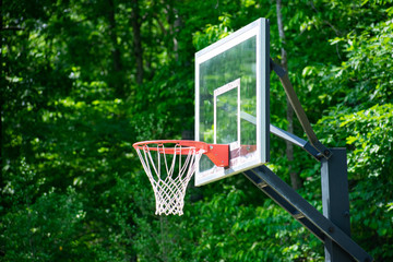 Naklejka premium A basketball hoop with a lush green background
