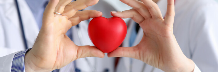 Doctors in white coats hold heart, focus on heart.