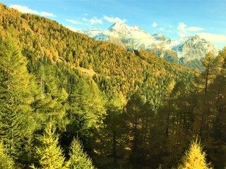 Beautiful Swiss Landscapes in Autumn