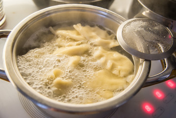 Making of traditional polish dumplings