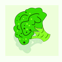 vector illustration of  broccoli 