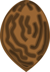 Seed of peach fruit isolated on white background