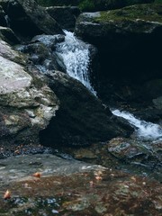 Naklejka premium waterfall in the forest