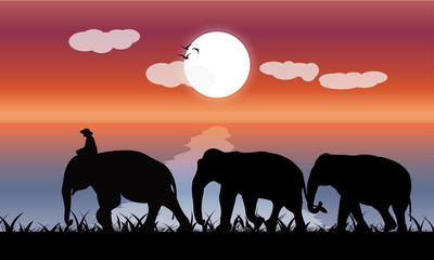 image silhouette twilight Black elephant with Elephant mahout walking with moon background Evening light vector Illustration
