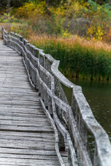 Old wooden bridge over the riverbed