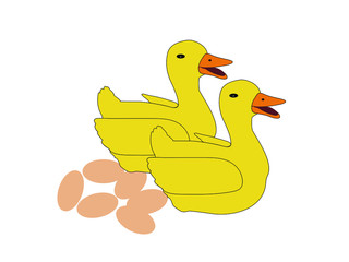 Yellow Duck Cartoon on white background.