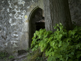 Eingangspforte in die alte Kirchenruine