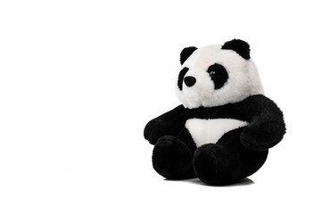 Animal toy : Panda bear doll isolated on white background.