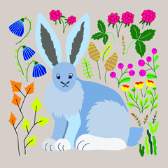 Obraz premium Lepus arcticus. Arctic hare vector isolated illustration. Polar hare. The animal lives in the north in Canada. Design raspberries, lingonberries, aspen, poppy, moss, lichen. Print, poster, book.