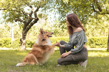 Girl teaches her dog to give paw, training dog collie in nature