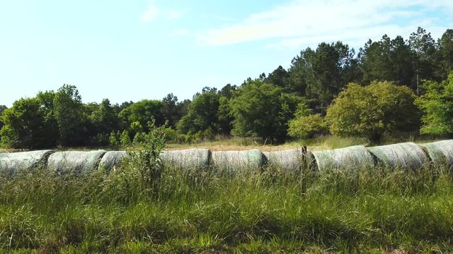 Left to right video of big round fresh hay bales lined up in a row in the very green countryside field with a short barbed wire and wood post fence in front of the bales