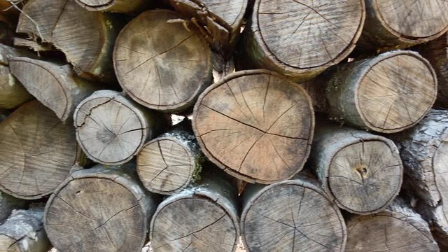 Left to right motion video of dried out cracking firewood stacked and piled up in long rows ready to be used in a fireplace