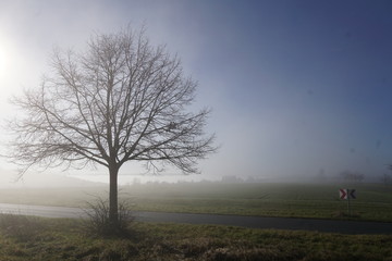Winterliche Landschaft
