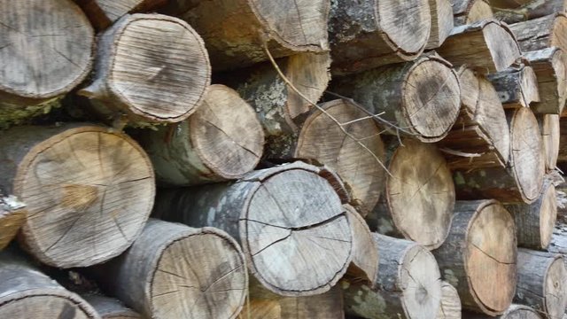 Left to right motion video of dried out cracking firewood stacked and piled up in long rows ready to be used in a fireplace