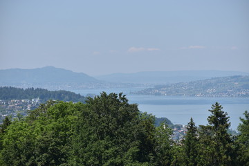 Fototapeta premium Ausblick über den Zürichsee in der Schweiz 18.5.2020