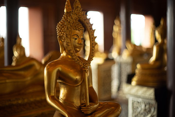 Golden Buddha statue hold talipot fan , Golden Buddha statue at Wat Krathum Suea Pla temple is public place and famous landmark tourist attraction in Thailand