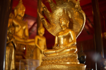 Fototapeta premium Golden Buddha statue and naga snake , Golden Buddha statue at Wat Krathum Suea Pla temple is public place and famous landmark tourist attraction in Thailand