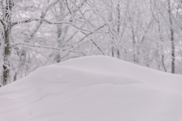 Snow dune in the forest