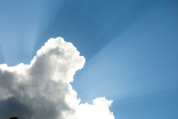 crepuscular light gives a silver lining