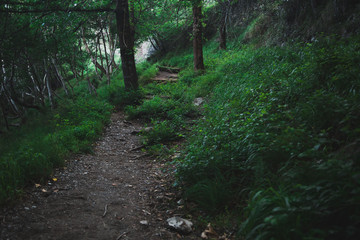 Forest path in the mountains. Path of the god called Sentiero Degli Dei at Amalfi Coast. Italy