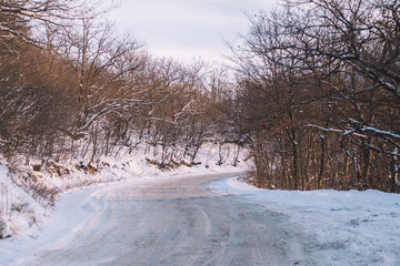 Frozen forest at sunset