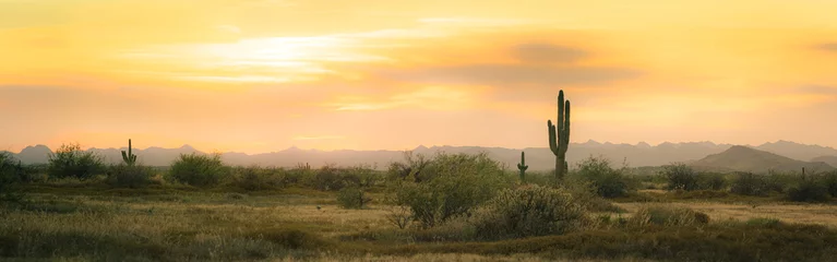 Foto op Plexiglas Een panorama van de woestijnzonsondergang met een saguarocactus die tegen de avondhemel in de Sonorawoestijn van Arizona wordt gesilhouetteerd. © Jason Yoder