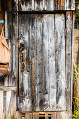 An old shabby building wall with a door made of wooden boards, copy space for text. Branches of bushes on the background of an old house