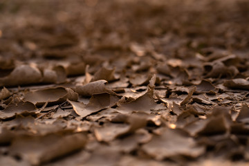 Cracked soil landscape texture on ground earth with natural light sunset of the sun with dramatic yellow and orange sky. Image depth of field.