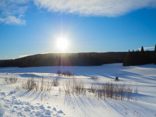 Snowy, sunny landscape