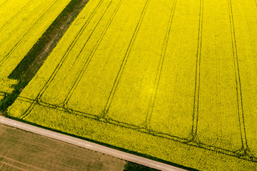 Aerial view, agriculture with cereal fields and rapeseed cultivation, Gabstein,  Rheinland-Pfalz, Germany