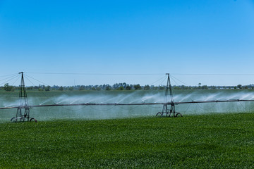 Farm water irrigation system sprays water on the green field