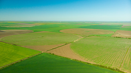 Agriculture aerial view green and yellow fields from above aerial view © bisa2bisa