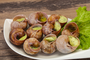 French cuisine - Escargot with sauce
